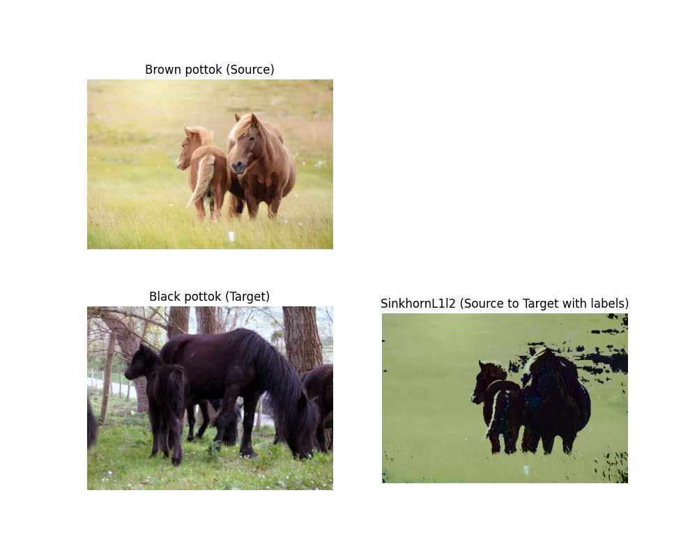 Brown pottok (Source), Black pottok (Target), SinkhornL1l2 (Source to Target with labels)