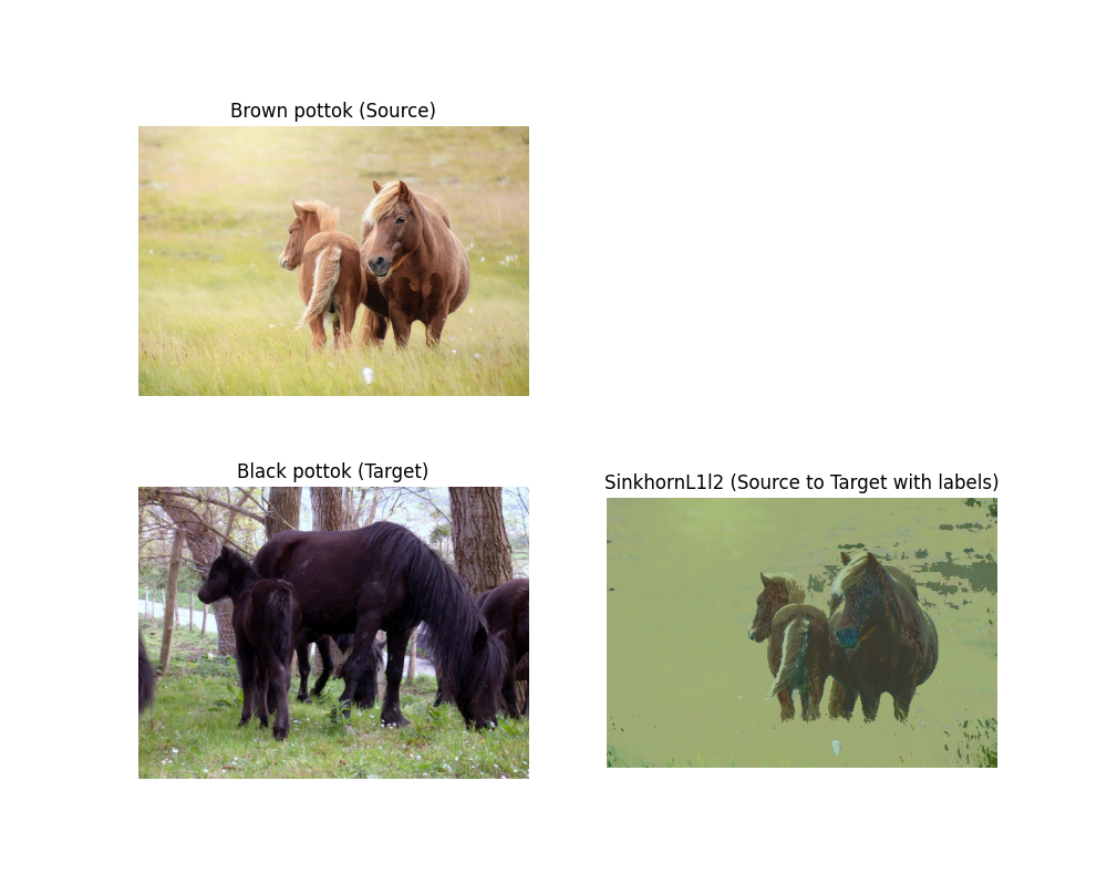 Brown pottok (Source), Black pottok (Target), SinkhornL1l2 (Source to Target with labels)